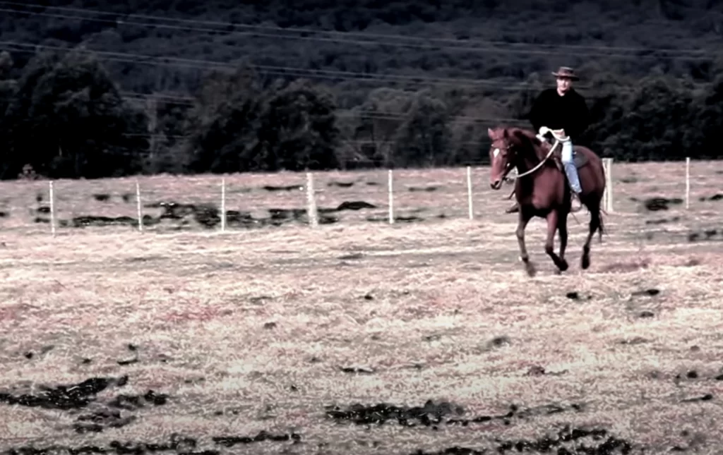 teaser-tall-in-the-saddle